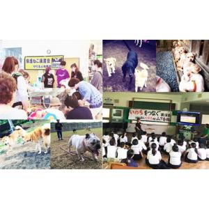 ふるさと納税 生き物 宮崎県 高原町 返礼品な...の詳細画像4