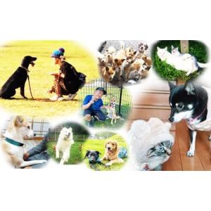 ふるさと納税 生き物 宮崎県 高原町 返礼品な...の詳細画像3