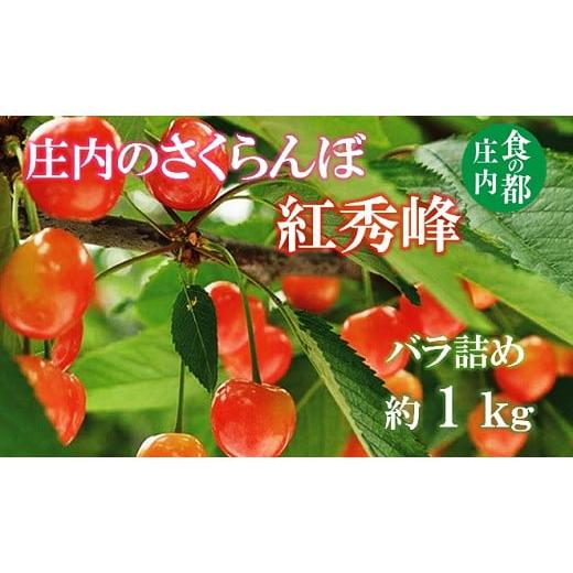 ふるさと納税 山形県 三川町 食の都庄内　【令和6年産】庄内のさくらんぼ「紅秀峰」1kgバラ詰め