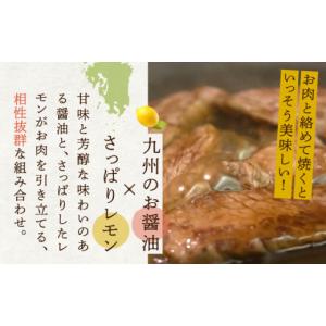 ふるさと納税 調味料・油 たれ 長崎県 川棚町...の詳細画像5
