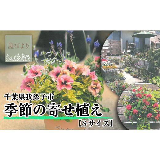 ふるさと納税 千葉県 我孫子市 届いてすぐに飾れる 季節の寄せ植え Sサイズ