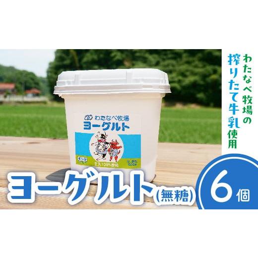 ふるさと納税 島根県 安来市 ヨーグルト500ｇ（プレーン）6個セット【無糖 ネッカ牛乳 ノンホモ製...