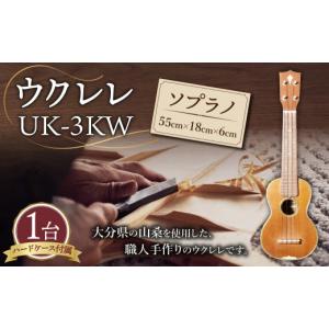 ふるさと納税 雑貨・日用品 大分県 竹田市 手...の詳細画像1