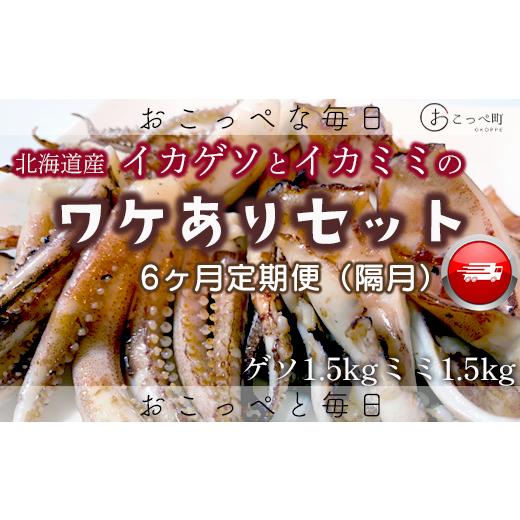 ふるさと納税 北海道 興部町 【ワケあり】わけあって!イカゲソとイカミミ　隔月 6ヶ月定期便