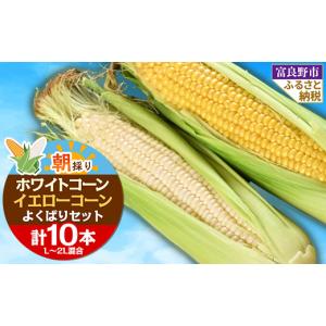ふるさと納税 とうもろこし 北海道 富良野市 食...の商品画像
