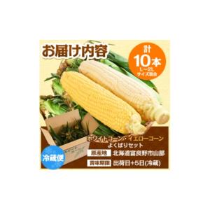 ふるさと納税 とうもろこし 北海道 富良野市 ...の詳細画像4