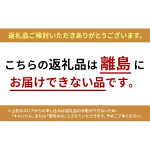 ふるさと納税 電化製品 兵庫県 福崎町 電動車...の詳細画像2