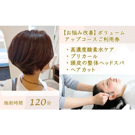 ふるさと納税 体験チケット 千葉県 白井市  お悩み改善 ボリュームアップコース ご利用券 ヘアカッ...