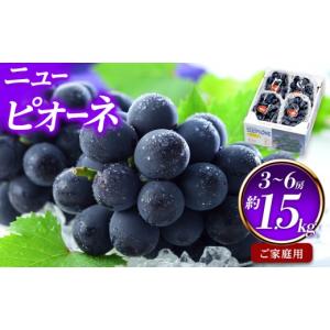 ふるさと納税 ぶどう 巨峰 岡山県 岡山市 ぶ...の詳細画像1