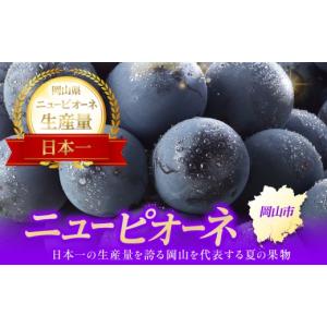 ふるさと納税 ぶどう 巨峰 岡山県 岡山市 ぶ...の詳細画像2