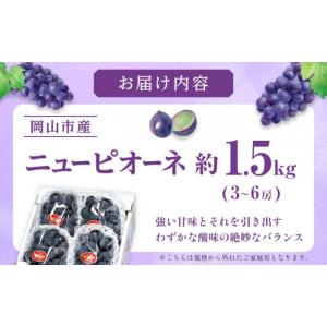 ふるさと納税 ぶどう 巨峰 岡山県 岡山市 ぶ...の詳細画像4