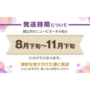 ふるさと納税 ぶどう 巨峰 岡山県 岡山市 ぶ...の詳細画像5