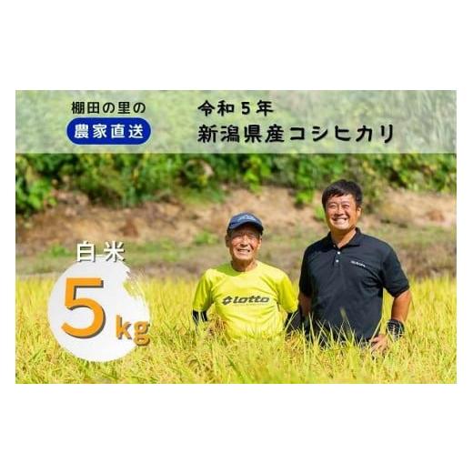 ふるさと納税 新潟県 上越市 布施農場の棚田コシ「あさひかがやく」白米５kg