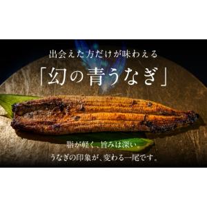 ふるさと納税 うなぎ 愛知県 田原市 すぐお届...の詳細画像1