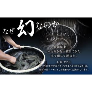 ふるさと納税 うなぎ 愛知県 田原市 すぐお届...の詳細画像3