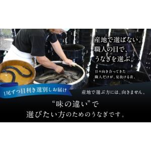 ふるさと納税 うなぎ 愛知県 田原市 すぐお届...の詳細画像4