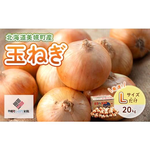 ふるさと納税 野菜類 玉ねぎ 北海道 美幌町  2026年10月上旬以降発送 美幌産 たまねぎ Lサ...