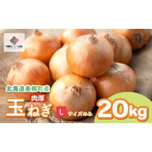 ふるさと納税 野菜類 玉ねぎ 北海道 美幌町 ...の詳細画像1