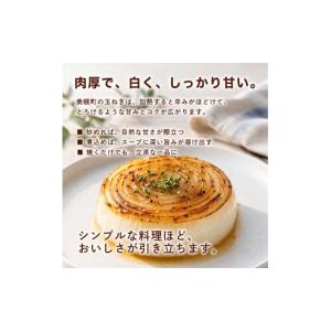 ふるさと納税 野菜類 玉ねぎ 北海道 美幌町 ...の詳細画像3