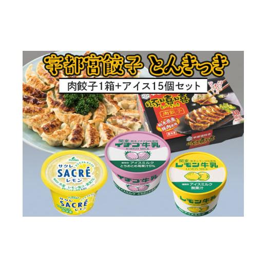 ふるさと納税 栃木県 宇都宮市 とんきっき肉餃子1箱+アイス15個セット※着日指定不可