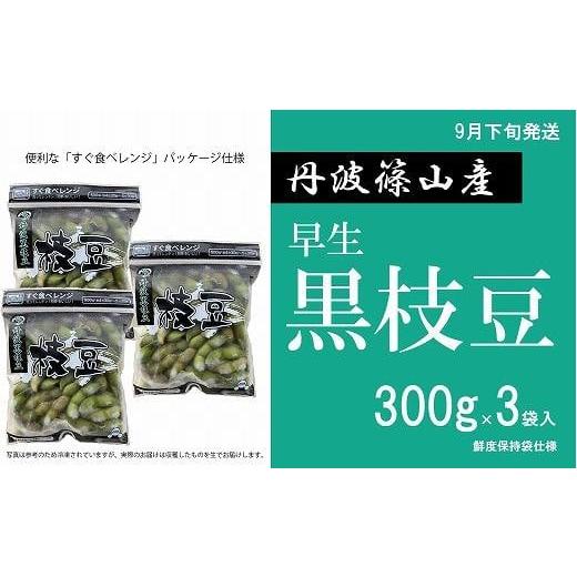 ふるさと納税 兵庫県 丹波篠山市 【2024年9月下旬発送】早生丹波黒枝豆300g×3（枝なし）