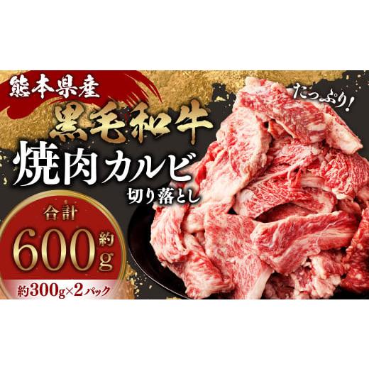 ふるさと納税 熊本県 水俣市 熊本県産黒毛和牛 焼肉 カルビ 切り落とし 約600g(300g×2パ...