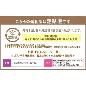 ふるさと納税 スイカ 熊本県 - 6か月連続定...の詳細画像2