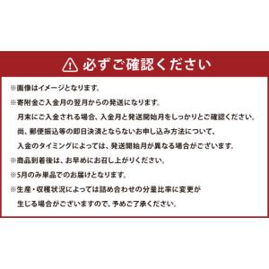 ふるさと納税 スイカ 熊本県 - 6か月連続定...の詳細画像4