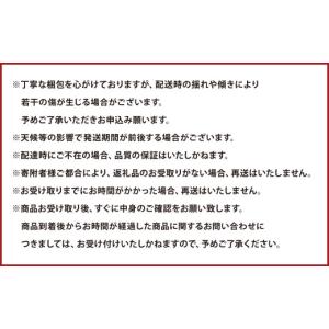 ふるさと納税 スイカ 熊本県 - 6か月連続定...の詳細画像5