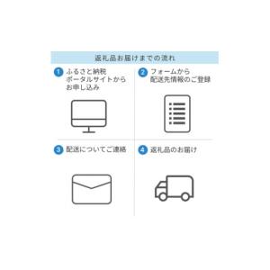 ふるさと納税 タオル・寝具 愛知県 豊川市 S...の詳細画像3