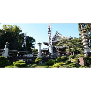 ふるさと納税 タオル・寝具 愛知県 豊川市 S...の詳細画像5