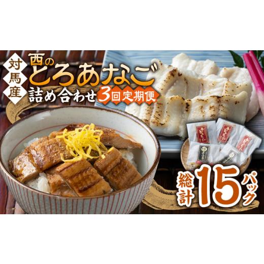 ふるさと納税 魚貝類 穴子 長崎県 対馬市  全3回定期便 対馬産 穴子 詰め合わせ 5PAC《 対...
