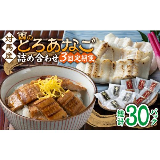 ふるさと納税 魚貝類 穴子 長崎県 対馬市  全3回定期便 対馬産 穴子 詰め合わせ 10PAC《 ...