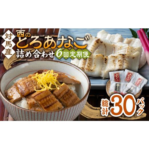 ふるさと納税 魚貝類 穴子 長崎県 対馬市  全6回定期便 対馬産 穴子 詰め合わせ 5PAC《 対...