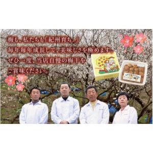 ふるさと納税 加工品等 梅干 和歌山県 古座川...の詳細画像5