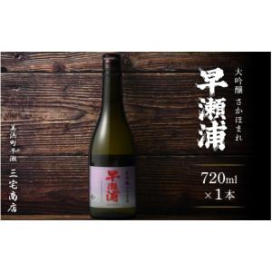 早瀬浦 本醸造 1800ml 1本 化粧箱入り 一升瓶 三宅彦右衛門酒造 若狭