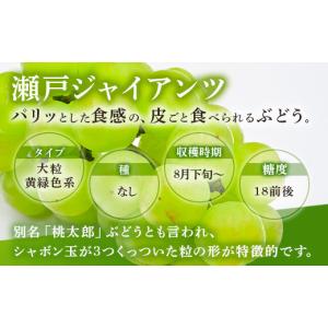 ふるさと納税 果物類 ぶどう 広島県 竹原市 ...の詳細画像3