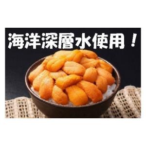 ふるさと納税 ウニ 北海道 寿都町 深層海洋水...の詳細画像2
