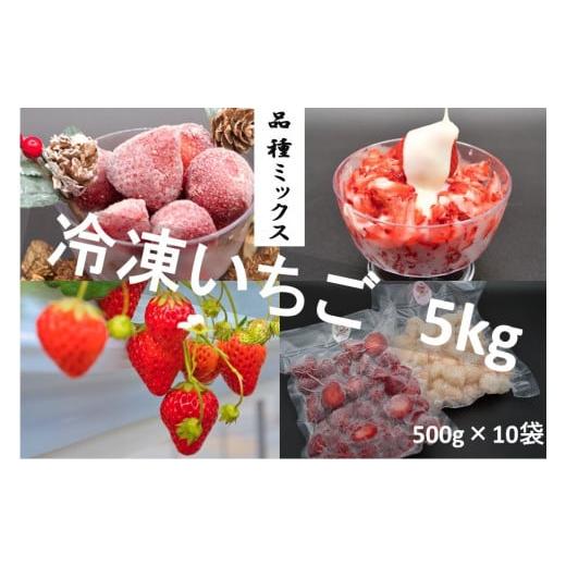 ふるさと納税 千葉県 四街道市 シエルファーム 冷凍いちご 品種ミックス 5kg ／ 苺 千葉