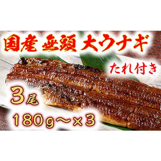 ふるさと納税 滋賀県 近江八幡市 国産うなぎ　備長炭地焼き蒲焼き180g以上×3尾　タレ付き×3【F...