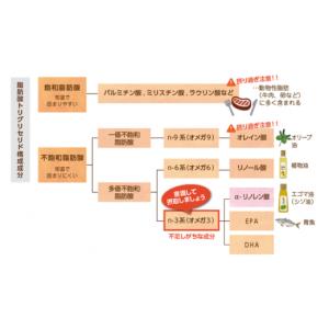 ふるさと納税 食用油 鳥取県 若桜町 2570...の詳細画像5