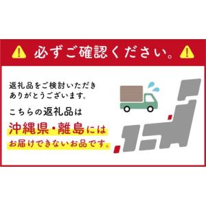 ふるさと納税 雑貨・日用品 岐阜県 可児市 エ...の詳細画像3