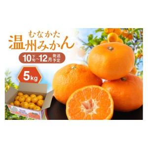 ふるさと納税 みかん・柑橘類 福岡県 宗像市 むなかた温州みかん 5kg 2026年10月下旬〜12月発送 JAほたるの里 _HA1345｜ふるさとチョイス