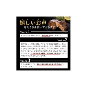 ふるさと納税 牛肉 ハンバーグ 兵庫県 加西市...の詳細画像3