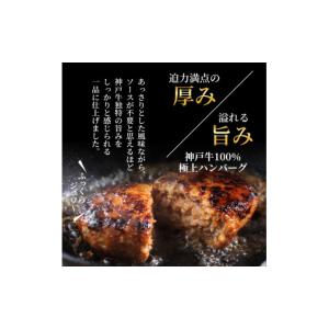 ふるさと納税 牛肉 ハンバーグ 兵庫県 加西市...の詳細画像5