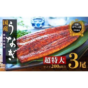 ふるさと納税 うなぎ 鹿児島県 大崎町 鹿児島県産 長蒲焼 特大3尾 200g以上 × 3尾 うなぎ蒲焼 国産 人気 うなぎ 鹿児島 うなぎ 国産 鰻 国産うなぎ蒲焼き う…