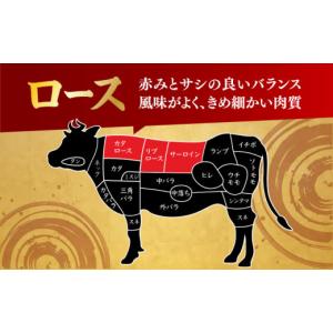 ふるさと納税 牛肉 ロース 長崎県 - 月1回...の詳細画像3