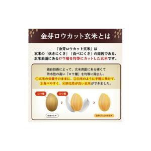 ふるさと納税 玄米 埼玉県 坂戸市 金芽ロウカ...の詳細画像2