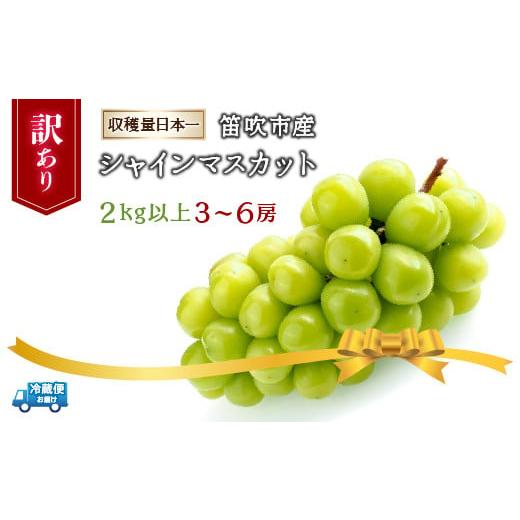ふるさと納税 山梨県 笛吹市 ＜2024年先行予約＞笛吹市産シャインマスカット（訳あり）3〜6房　2...
