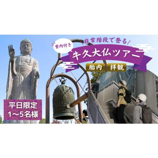 ふるさと納税 茨城県 牛久市 《 案内付き 》 非常階段で登る 牛久大仏 胎内 拝観 ツアー ※ 平...